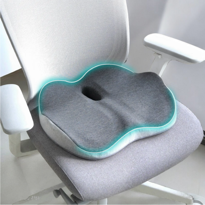 바른핏 자세교정 방석 메모리폼 기능성 허리 디스크 치질