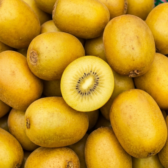 [산지직송]초고당도brix 엄격선별 꿀 골드키위, 1개, 5kg(로얄과)