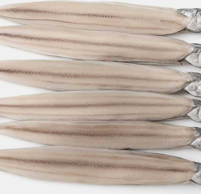 국내산 반건조 갈치 건갈치 구이 조림, 1개, 300g