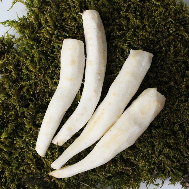 [햇님농장] 국내산 손질 깐 더덕 400g, 1개