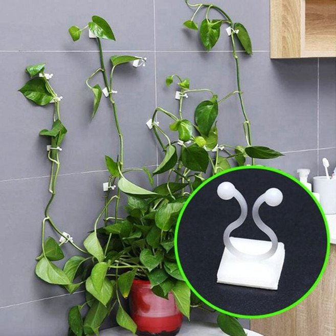 식물지지대 고정 10개세트 홀더 벽부착 덩쿨식물 식물지지대 원예자재 화초지지대 넝쿨식물지지대 울타리지주대 식물끈 꽃끈 원예지지대+셀러팩토리Shop, 빠른배송