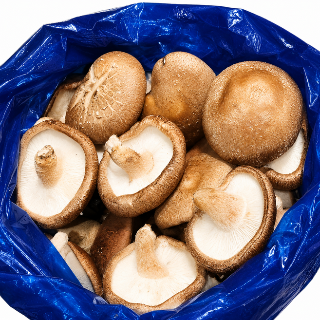 [송가네] 국내산 선별 표고버섯, 1개, 1kg (A급 실속형)