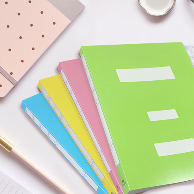 서일산업 정부화일 A4, PP정부 4색(40개), 1세트