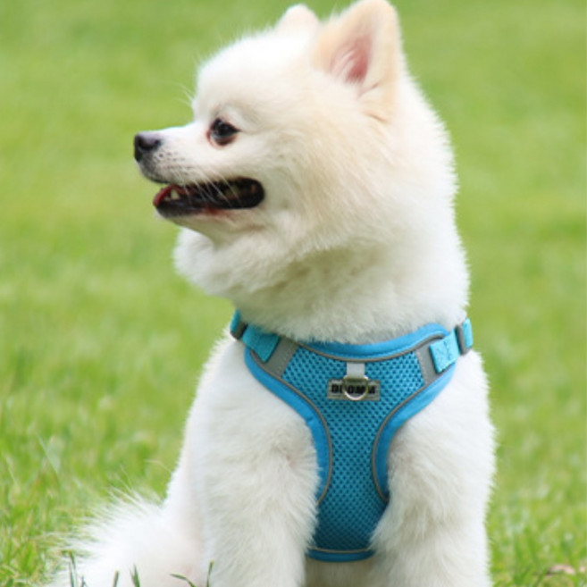 디아쿠아 강아지 고양이 겸용 야광 빛반사 쿨 메쉬 하네스+리드줄, 스카이블루