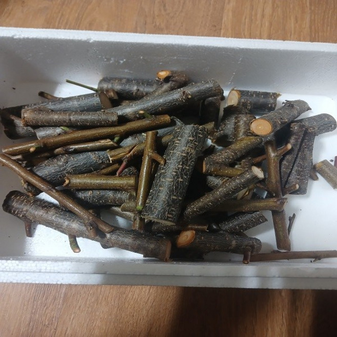 [너와 함께라면] 개복숭아 1kg