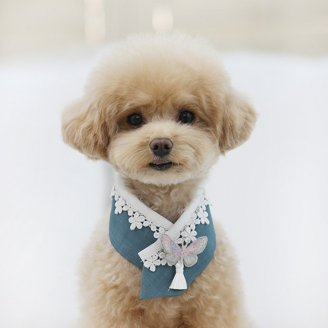 강아지 고양이용 설날 설빔 추석 한복 목도리 스카프 미르 한복 케이프, 청록, 1개