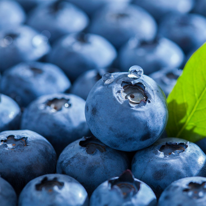 무농약 친환경 국내산 고당도 생 블루베리 20mm 제철과일, 1개, 100g (20mm)