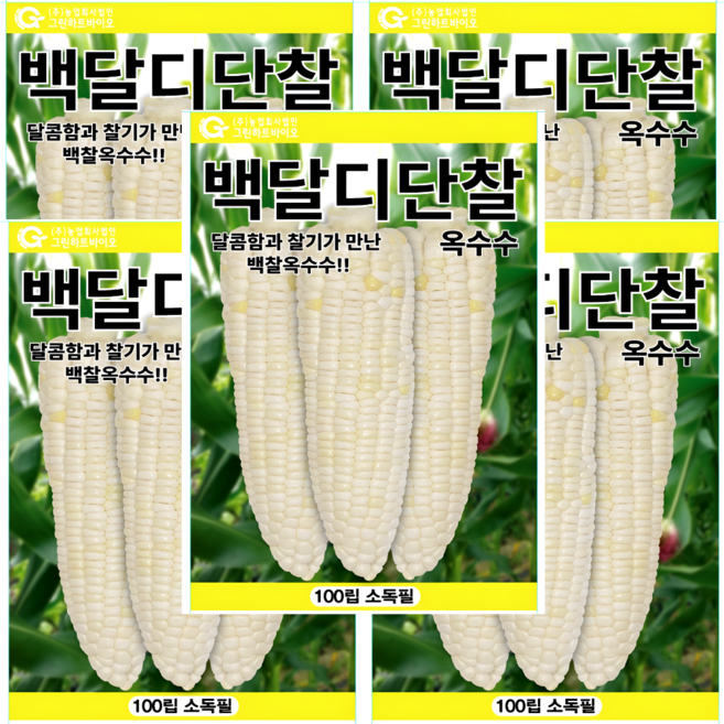 백달디단찰옥수수 100립 달콤함과 찰기가 만난 백찰옥수수 그린하트바이오, 5개