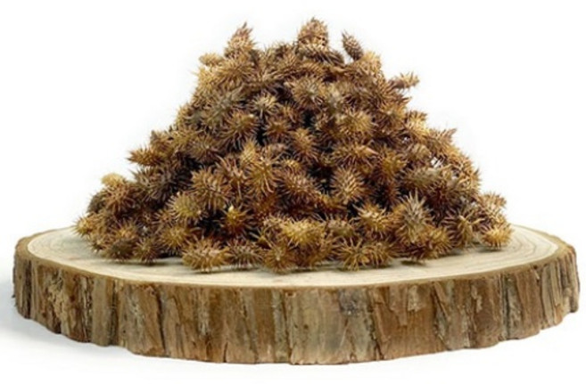 산약초이야기 자연산 도꼬마리 창이자 독고마리 300g 600g, 1개