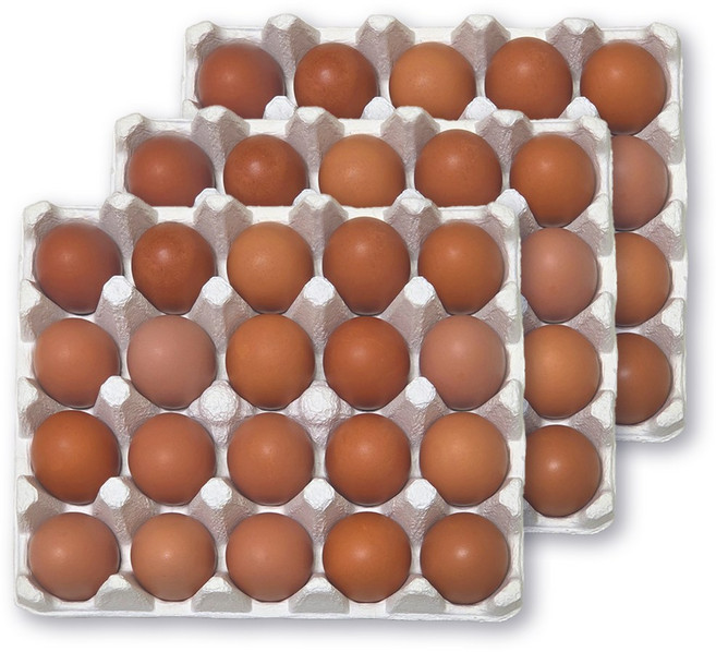 [난각번호1번] 자유방목 유정란 자연방사 계란, 1개, 60구