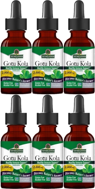 네이처스앤서 고흡수 고투 콜라 2000mg 액상 액체, 6개, 30ml - 쿠팡