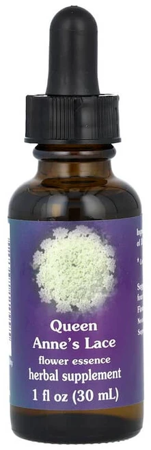 Flower Essence Services 앤 여왕의레이스 플라워 에센스 30ml(1fl oz) FES-11099, 1 - 쿠팡