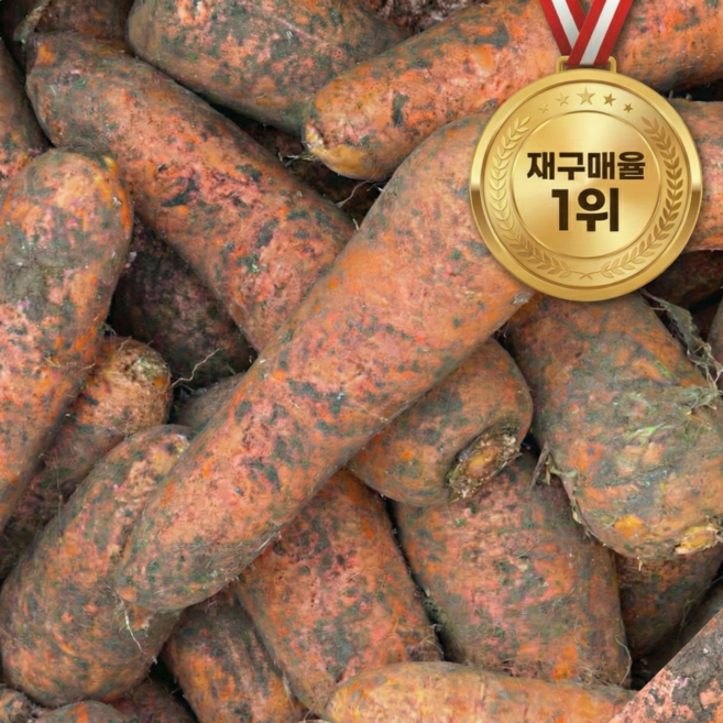 [재구매율1위] 20박스한정 제주 구좌당근 흙당근, 1박스, 10kg (왕)
