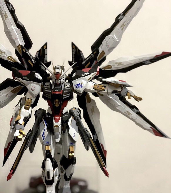 MG 다반 8802 스트라이크 프리덤 건담 블랙 메탈코팅 도색킷 중국 대륙 건프라 조립 프라모델, 1개