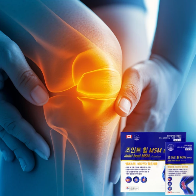 웰리 엠에스엠정 관절 연골 보스웰리아 2000mg 90정 2개, 1개, 180정 - 쿠팡