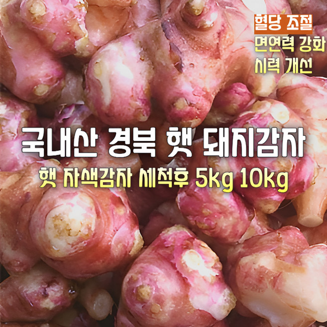 [산지직송] 국내산 자연산 함평. 경북. 충청 특상품 무농약 친환경 햇 자색돼지감자 세척 5kg. 10kg. 선물용 가정용, 1박스, 무농약 햇 자색돼지감자 세척 5kg