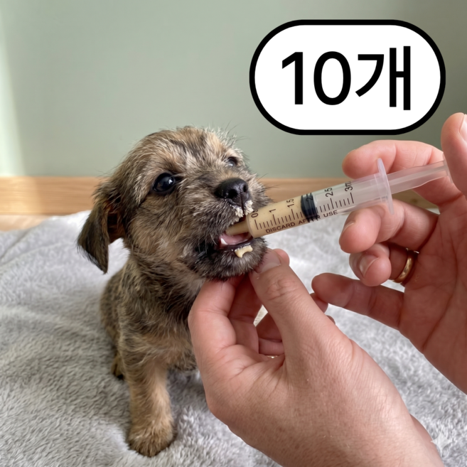 쏙쏙리빙 반려동물 피딩용 주사기, 투명, 10개, 3ml