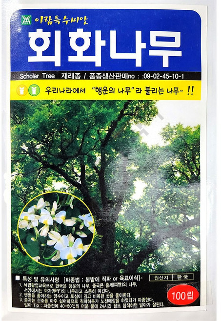 회화나무 100립 아람 25년 회화나무씨앗