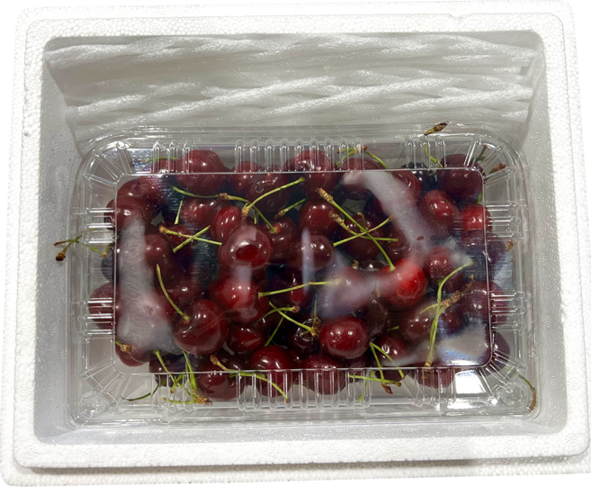[항공직송] 워싱턴 생체리 로얄 특대과 프리미엄 빙체리, 1개, 생 체리 5kg 1박스 (10-10.5R) 중과