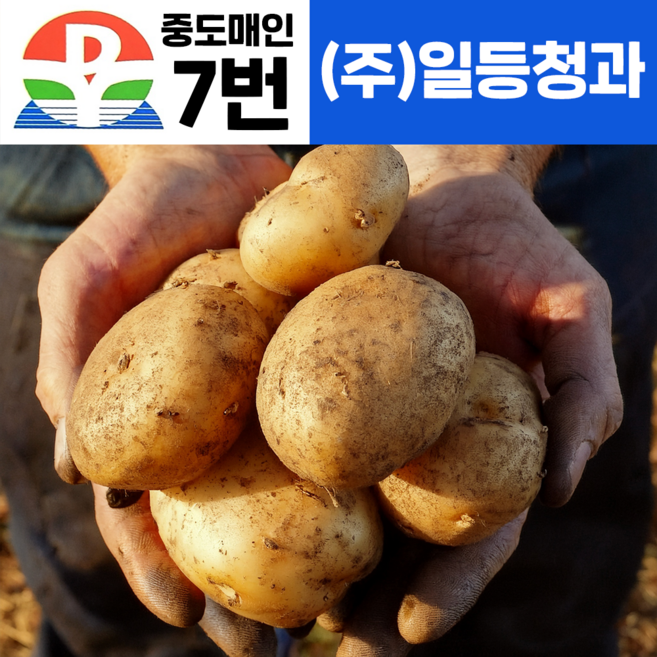포슬포슬 국내산 햇 수미 감자 특사이즈, 1개, (감자 특) 10kg