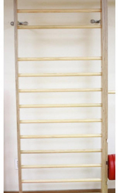 아이소파 늑목 CL7001 실내암벽등반