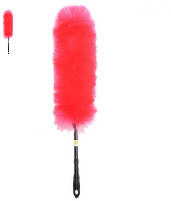 오필리아 더스터 _20260201EA