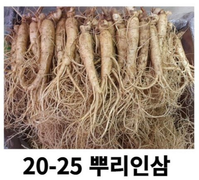 튀김용 인삼 튀김용인삼뿌리 30-35뿌리 인삼 꿀절임, 정과 튀김용 인삼 700g 20-25 세척 ( 0 ), 1개