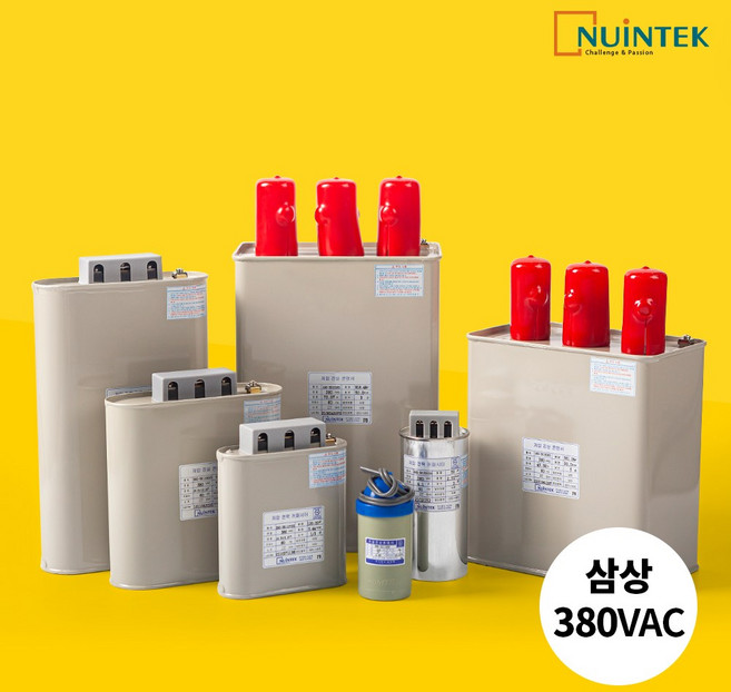 뉴인텍 저압진상콘덴서 커패시터 삼상 380V 캐패시터 모음, 삼상 380VAC, 25kvar, 1개