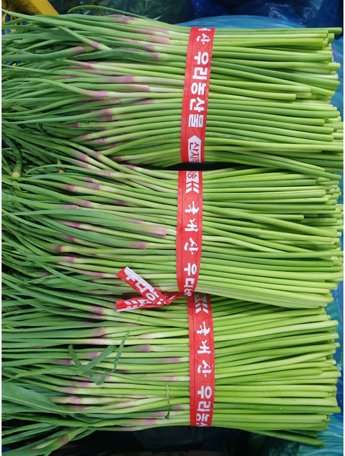 국내산 영천 마늘쫑 1kg 햇마늘쫑 마늘종, 1개