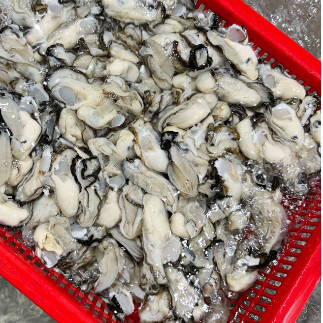 청정바다 통영 산지직송 생굴 1kg 깐굴, 1개, 대굴 1kg