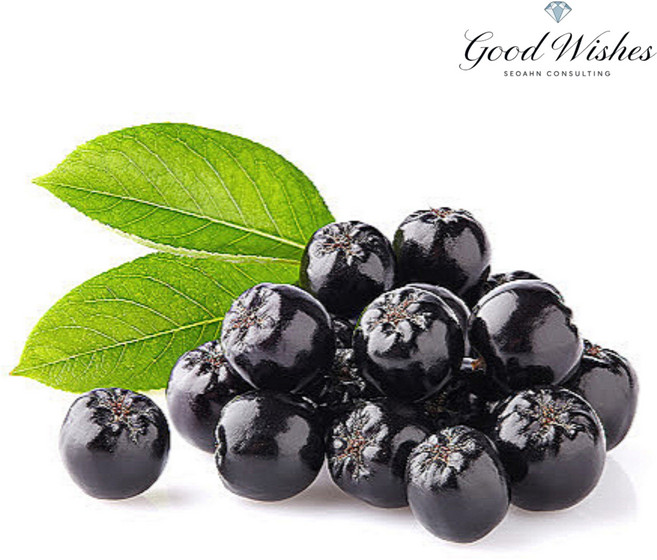 왕실에서 반한 아로니아 생과 킹스베리, 1박스, 5kg(특품 줄기제거)