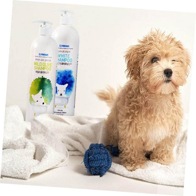 진정5호 샴푸린스 중대형견 1000ml 강아지샴푸린스겸용