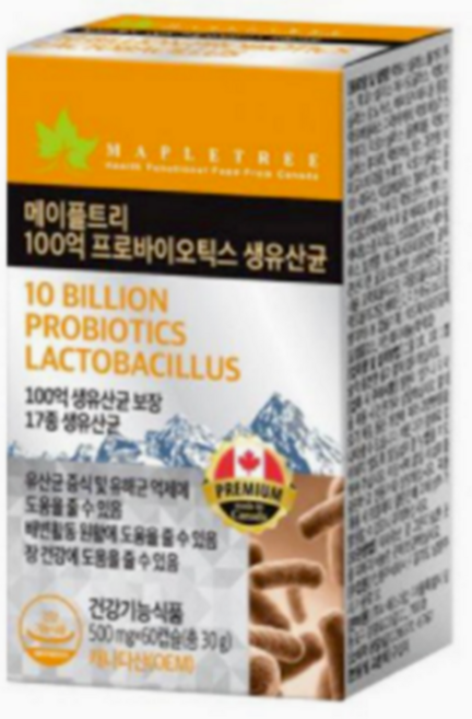 메이플트리 장용성 100억 프로바이오틱스 생유산균 500mg, 60개, 1정