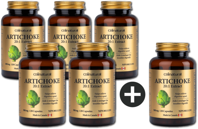 (5+1) 20배 고농축 지중해 아티초크 500mg 120캡슐 4개월 캐나다 생산, 6개, 120정