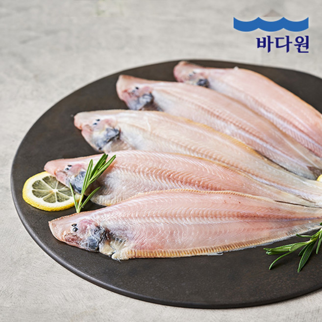 제철장터 바다원 반건조 군산박대(냉동), 12개, 150g