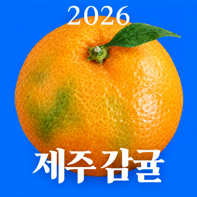 [재구매1위] 제주감귤 밀감 고당도 불로초귤, 1박스, 10kg