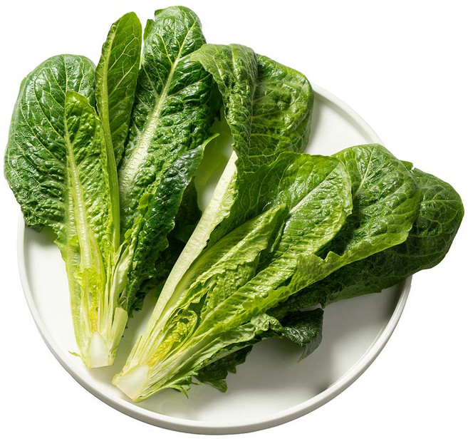 전라도청년 프레시 국내산 통 로메인, 1박스, 2kg