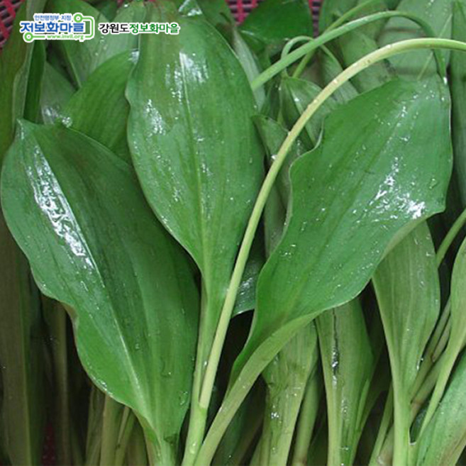 명이나물(즉시배송)1Kg, 1kg, 1개