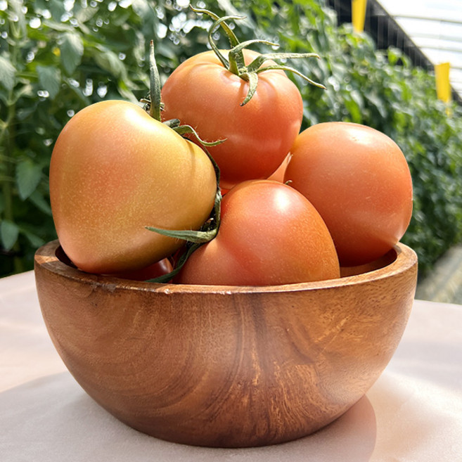 유기농 완숙 토마토 2kg -무료배송-, 1박스