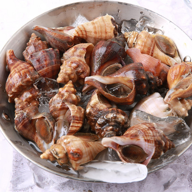 [국내산] 삐뚤이소라1kg 삐뚜리 피뿔고둥, 1