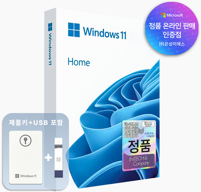 마이크로소프트 Windows 11 Home FPP USB 처음사용자용 한글, Haj-00095