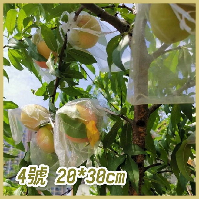 水果套袋 防蟲防鳥網袋 白色束口紗網袋 園藝果實保護袋 20x30公分, 1個, 4號 20*30公分