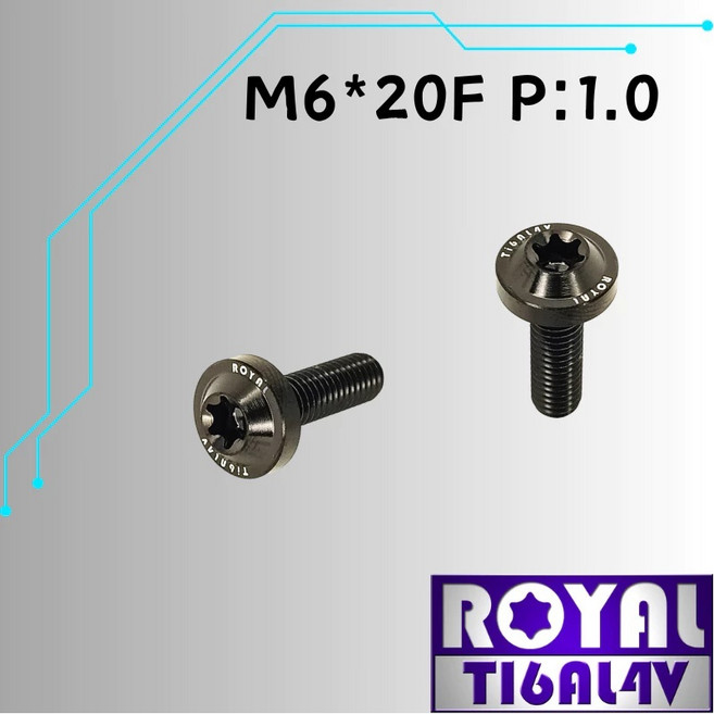 ROYAL 鈦合金螺絲 M6*20F P:1.0 飛碟頭螺絲, 1個