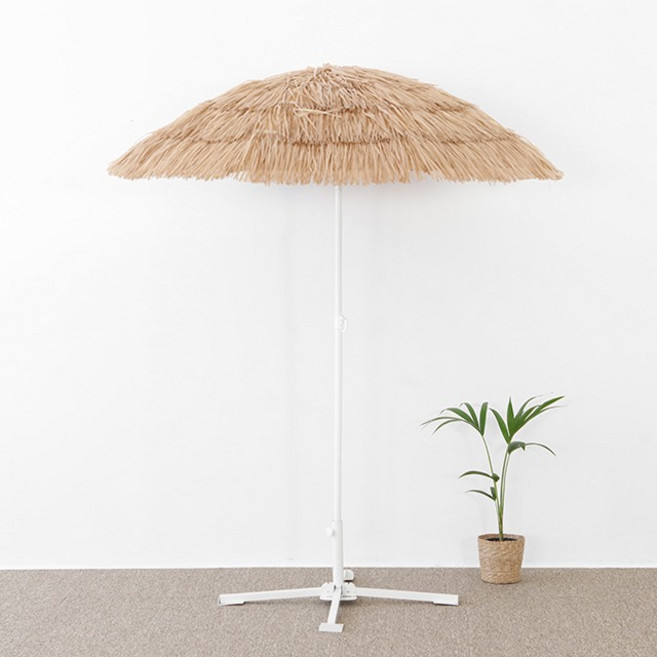 마켓비 로밀 파라솔 야자수, 팜트리