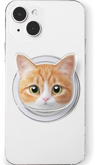 로랜텍 아크릴 휴대폰 맥세이프 스마트톡, 3 치즈태비 호박, 1개