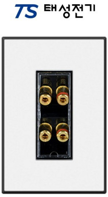 태성전기 틸인스 블랙화이트 바나나잭 2구, 1개