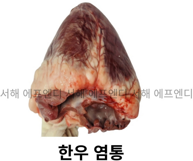 염통