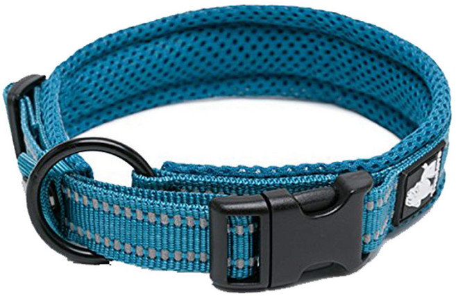 Truelove Dog Collar Reflective Premium Duraflex Buckle High Grade Nylon Webbing No Choke Basic Co, 1개, 파란색