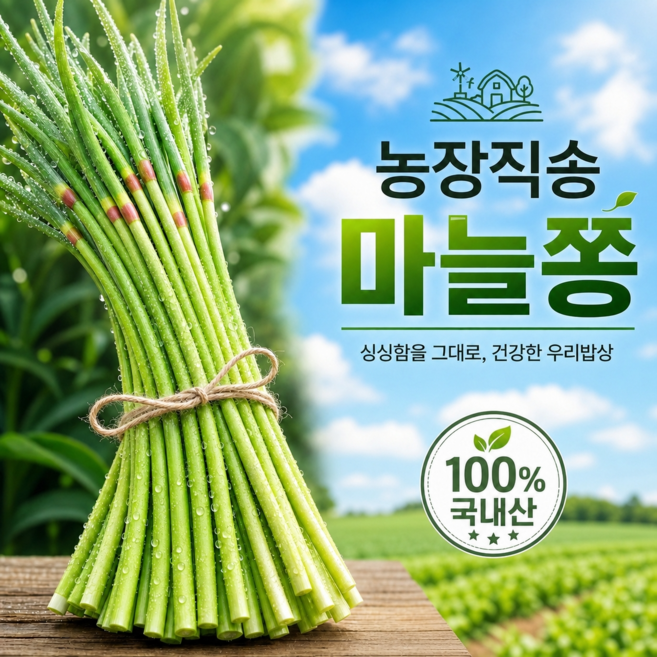 [작년판매1위] 산지직송 국산 마늘쫑 특품, 1개, 1kg