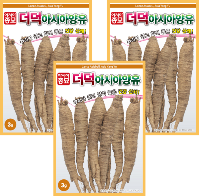 1+1+1 더덕씨앗 3g 3봉세트 더덕 종자 씨 토종 민속 약초 뿌리 나물 채소씨앗 봄 가을 파종 작물, 3개
